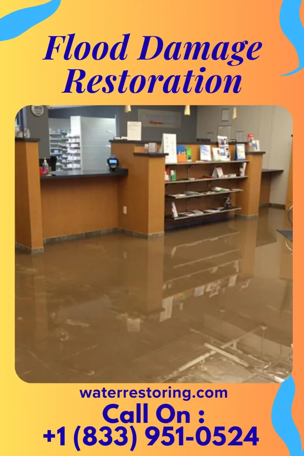 Flood Damage Restoration in Beechwood, MS