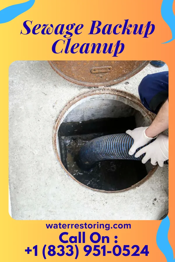 Sewage Backup Cleanup in Beechwood, MS
